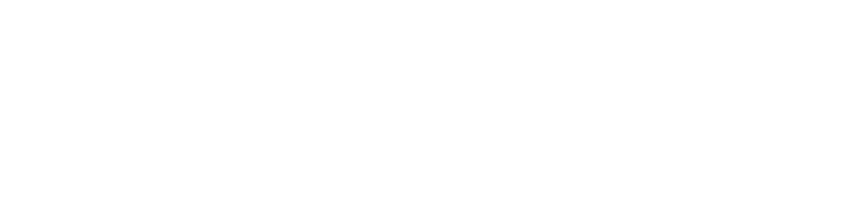 Sviluppo web, problem solving e innovazione d'impresa